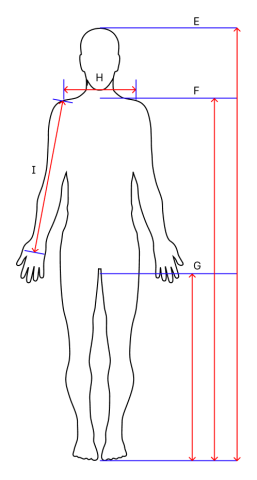 Body measurements
